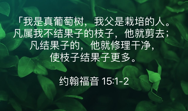 PNG image-D41CBDF10BFE-1