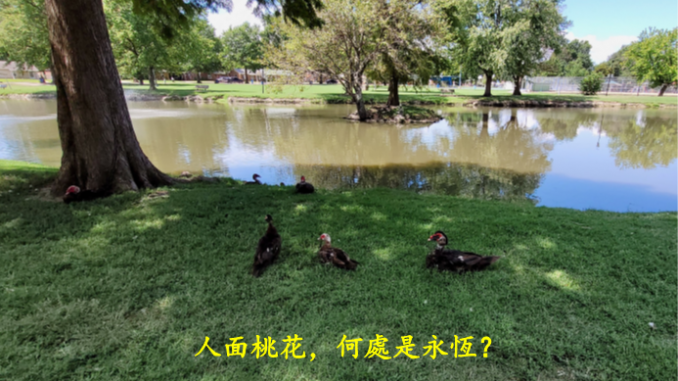 image - 2022-08-22T150449.768