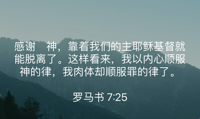 PNG image-1E2A98CF4438-1