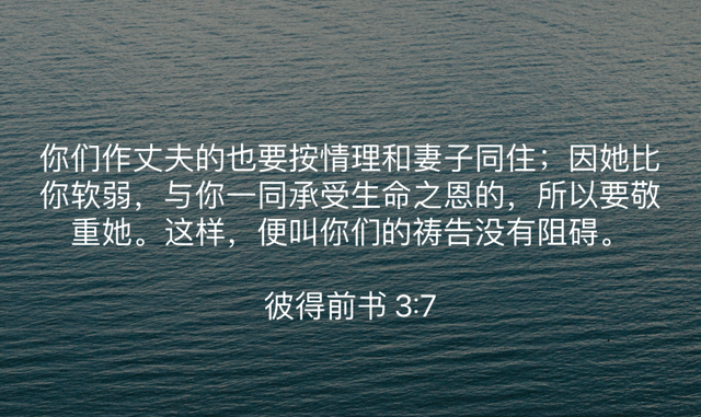 PNG image-3A5E4CCA7733-1