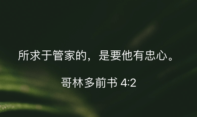 PNG image-A00D911D29C3-1