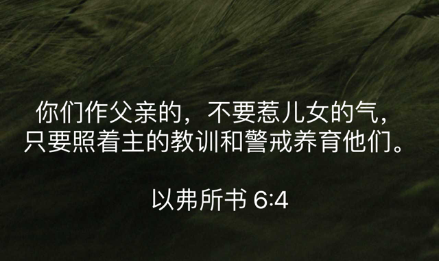 PNG image-A56EBDFB7949-1