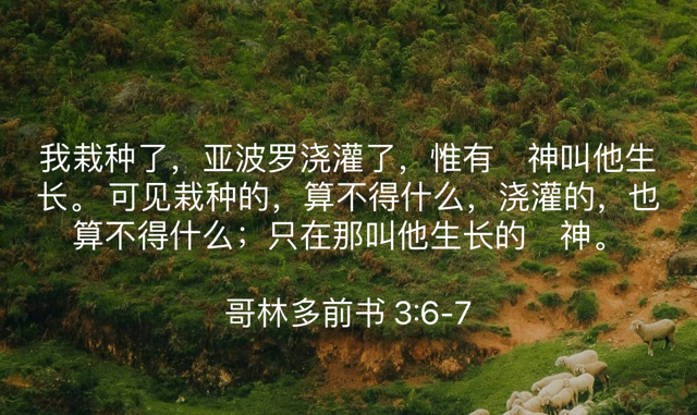 PNG image-B8EDF4421188-1