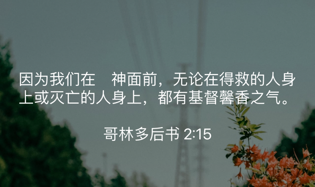 PNG image-E963B74C3A52-1