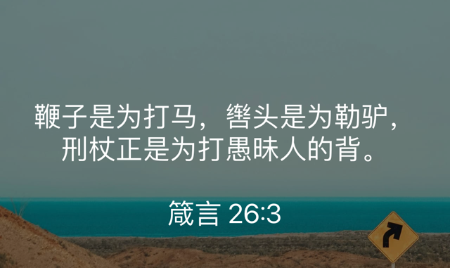 PNG image-E12D23D89389-1