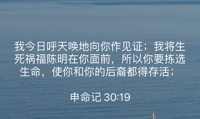 PNG image-577BD94935C3-1