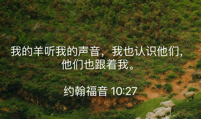 PNG image-DF1E7FBD5CAE-1