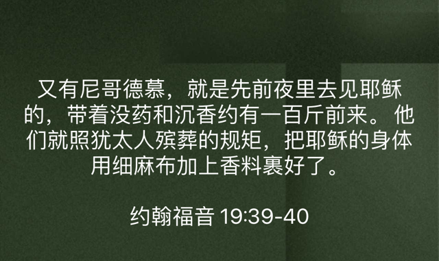 PNG image-F0650D57D810-1