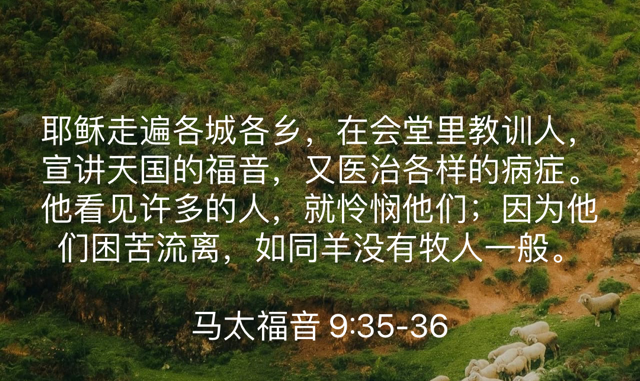 PNG image-38F234202802-1