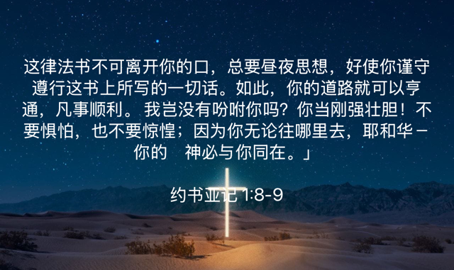 PNG image-3585BFAFA132-1