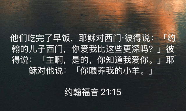 PNG image-8CF675C985A1-1